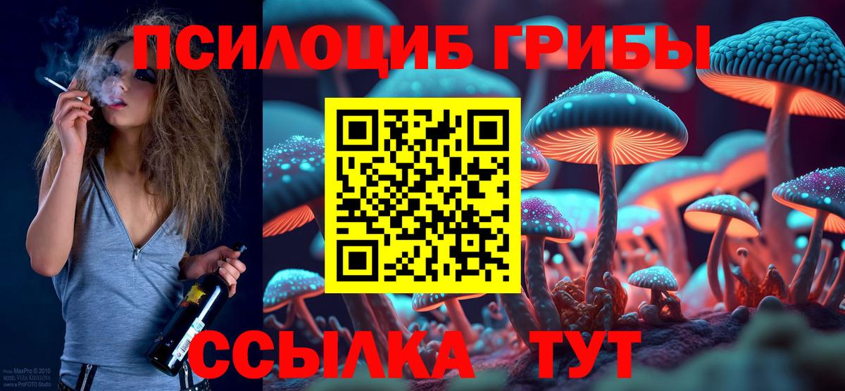 Дедовск  Галлюциногенные грибы Magic Shrooms  Вход с VPN 